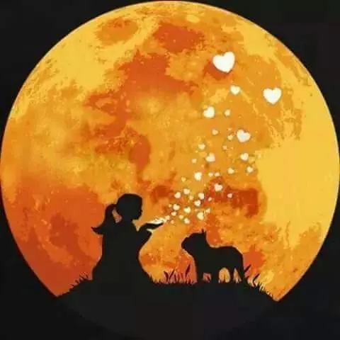 Image from Lilly