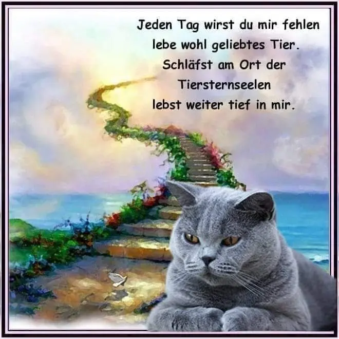 Condolence image of Inessa