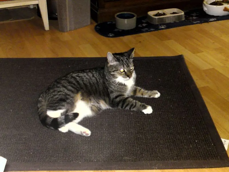 Condolence image of Christine