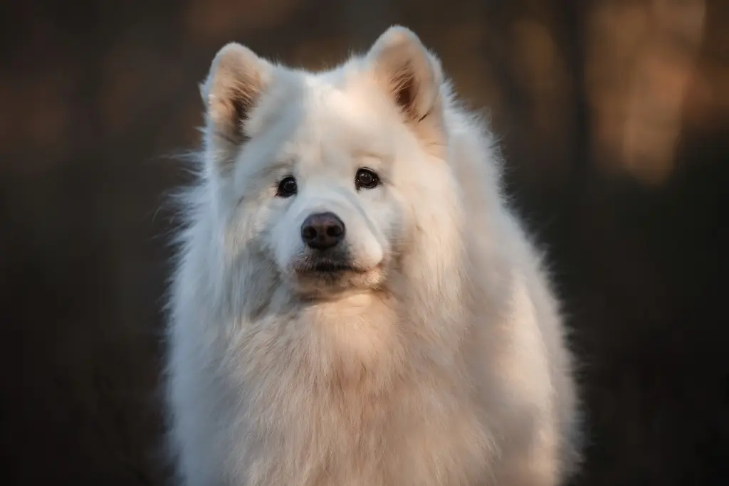 Image from Lost