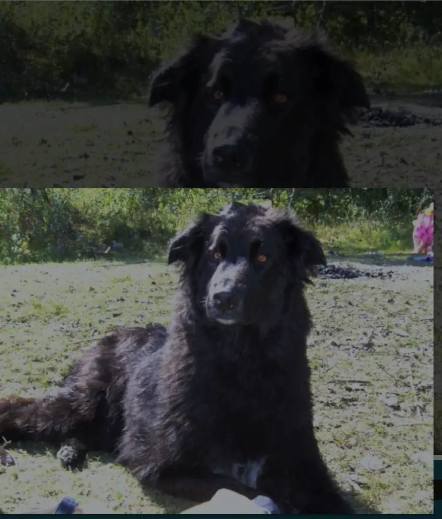 Condolence image of Tatjana