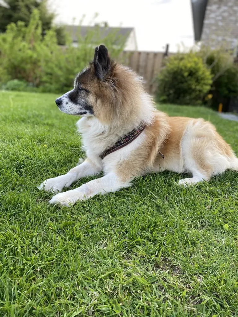 Condolence image of Conny