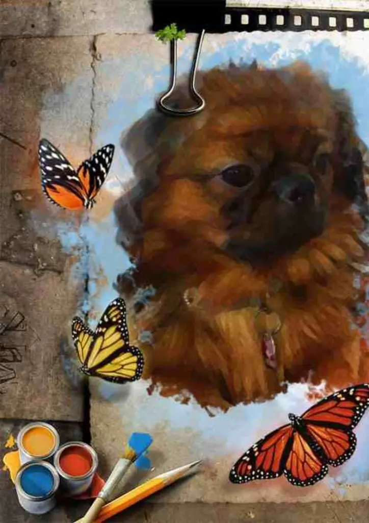 Condolence image of Fiepsy seine Mama Thielert