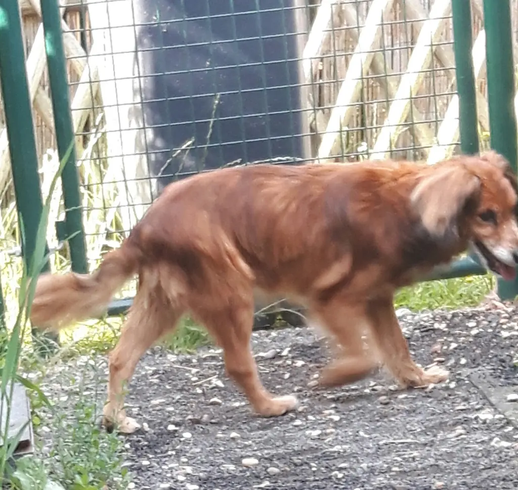 Image from Purzel