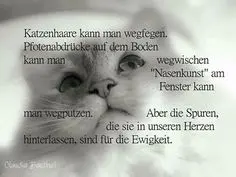 Condolence image of Helmut mit Benny im Herzen