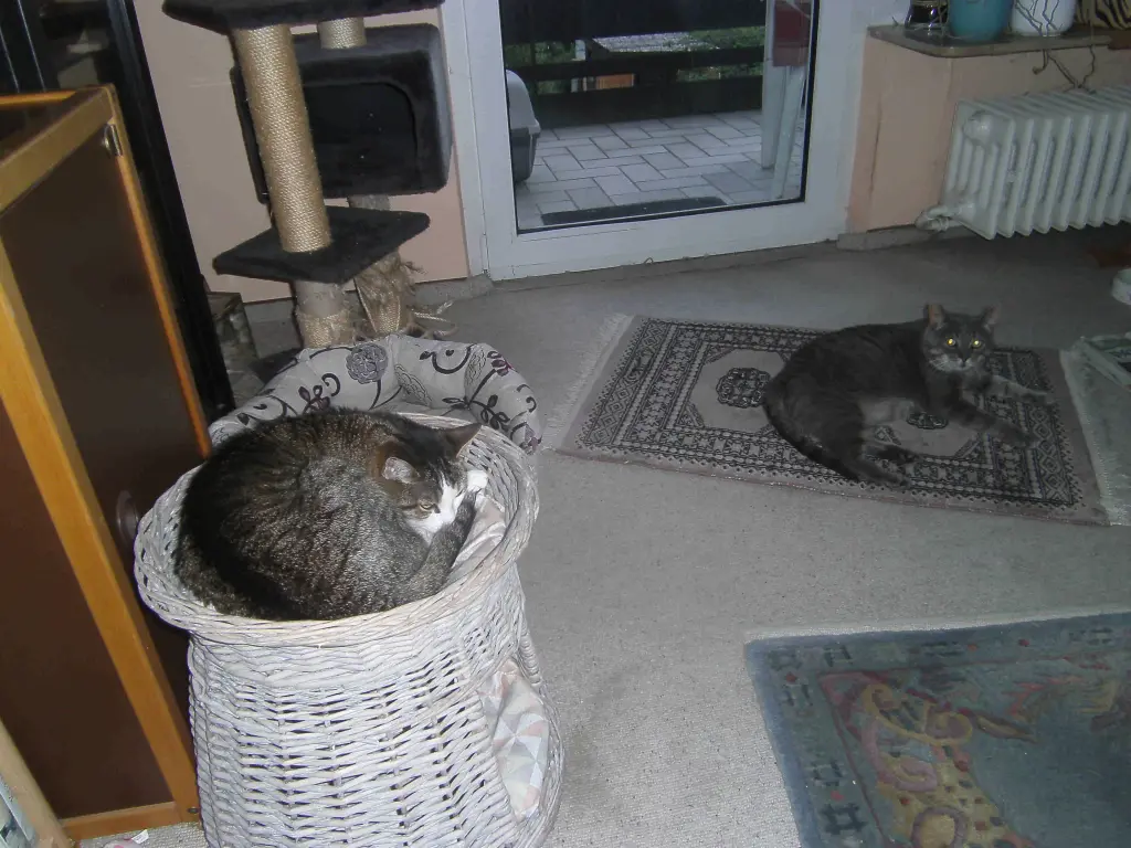 Image from Rudolf und Bella