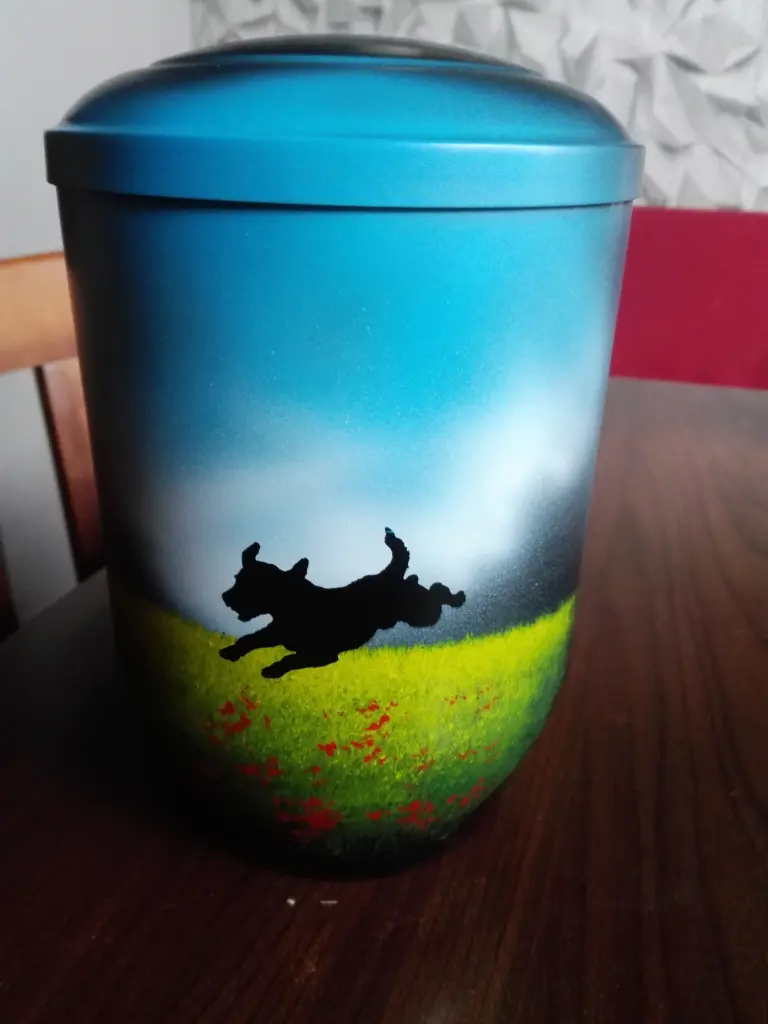 Bild von Gismo
