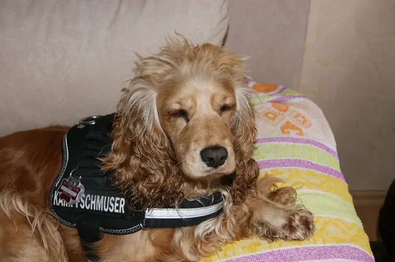 Condolence image of Volker