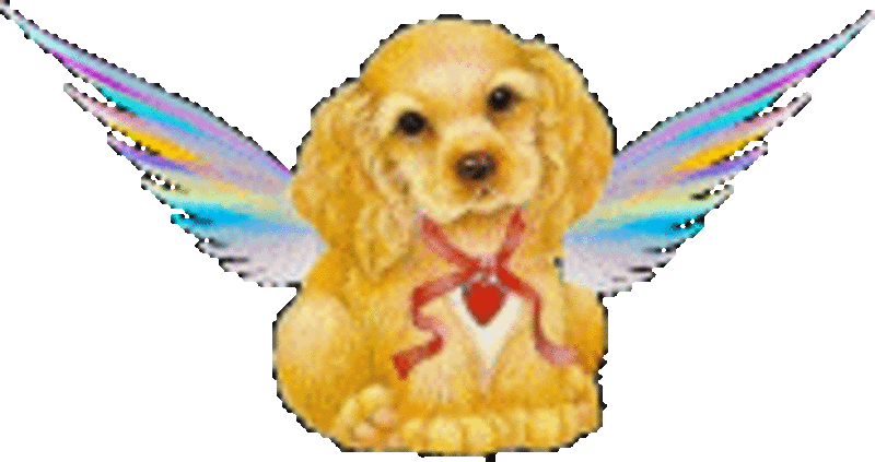 Condolence image of Volker