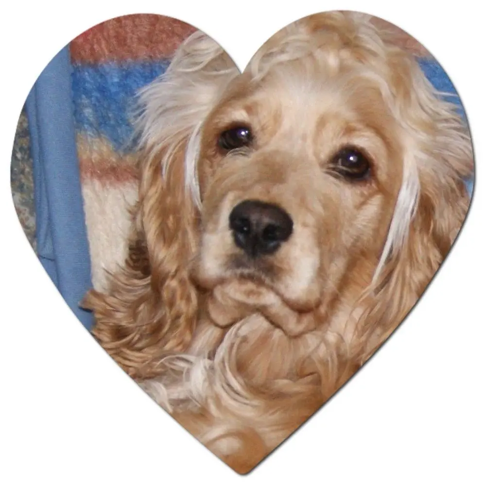 Condolence image of Volker