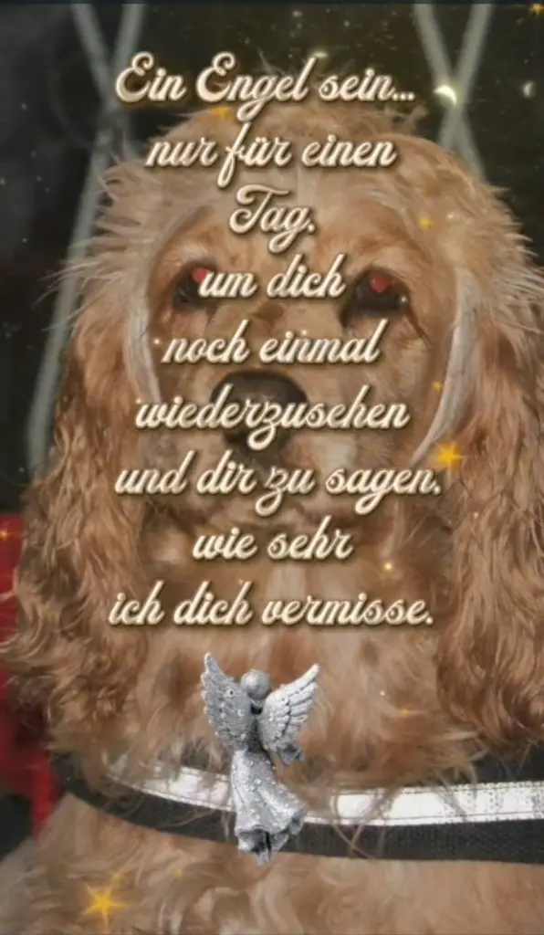 Condolence image of Volker